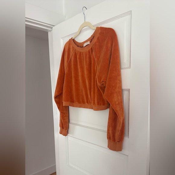 Suzie Kondi Cropped Velour Sweatshirt - Picture 5 of 5
